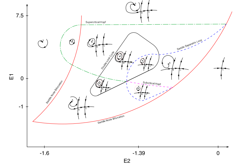 Respiratory rhythms in birds