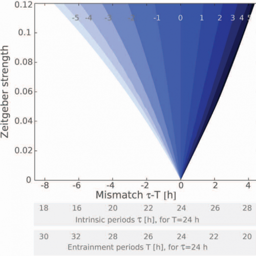 Coupling and entrainment range