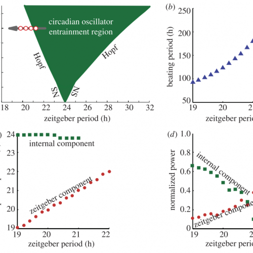 Timescales of entrainment
